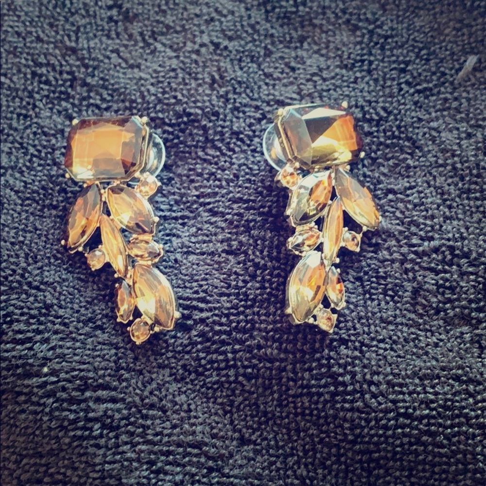 Banana Republic Brown Earrings